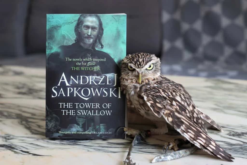 رمان The Witcher 6 – The Tower of the Swallow — تصویر ۲