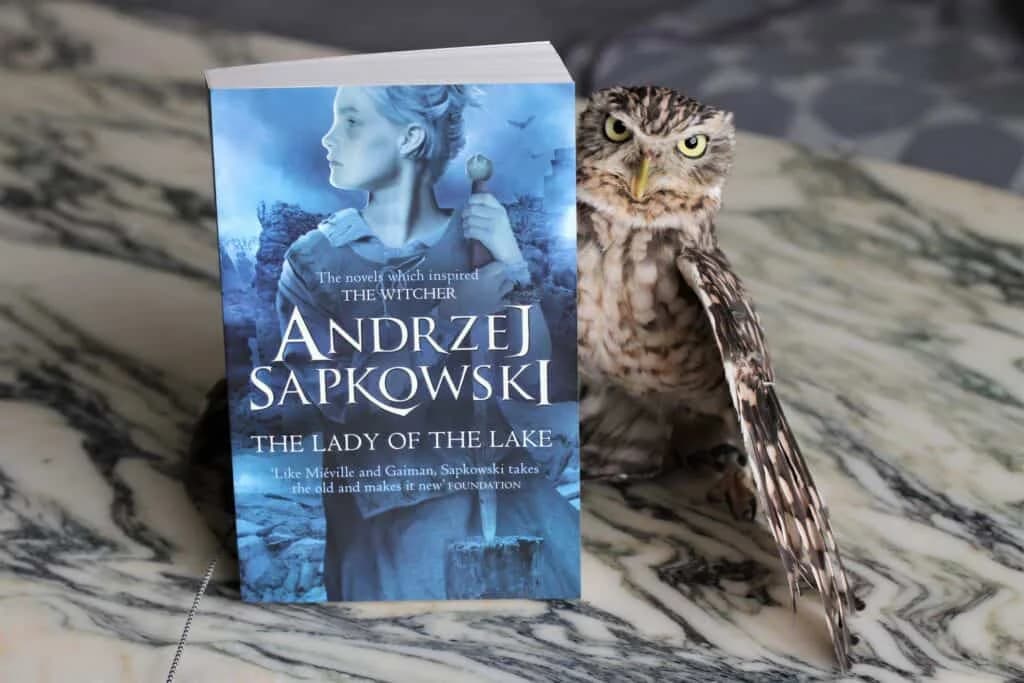 رمان The Witcher 7 – The Lady of the Lake — تصویر ۲