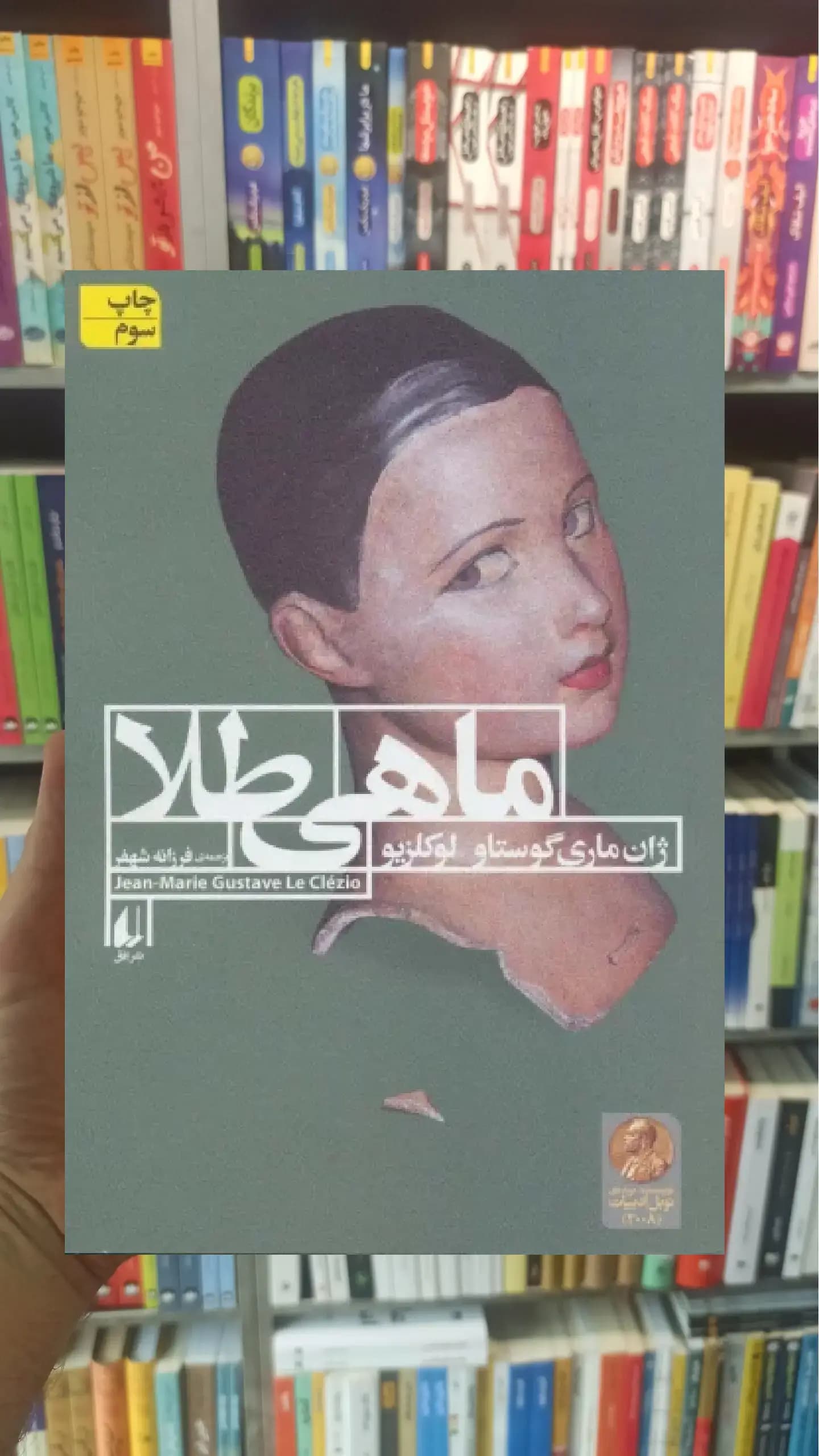 ماهی طلا افق