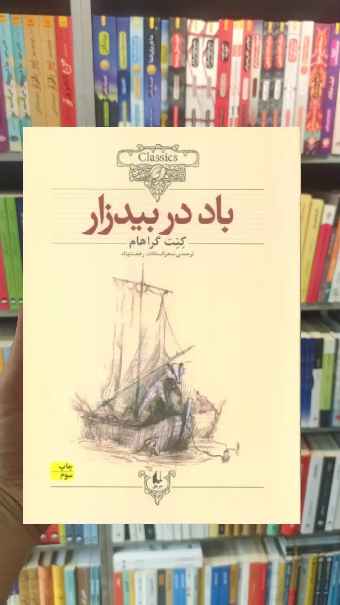 باد در بیدزار افق