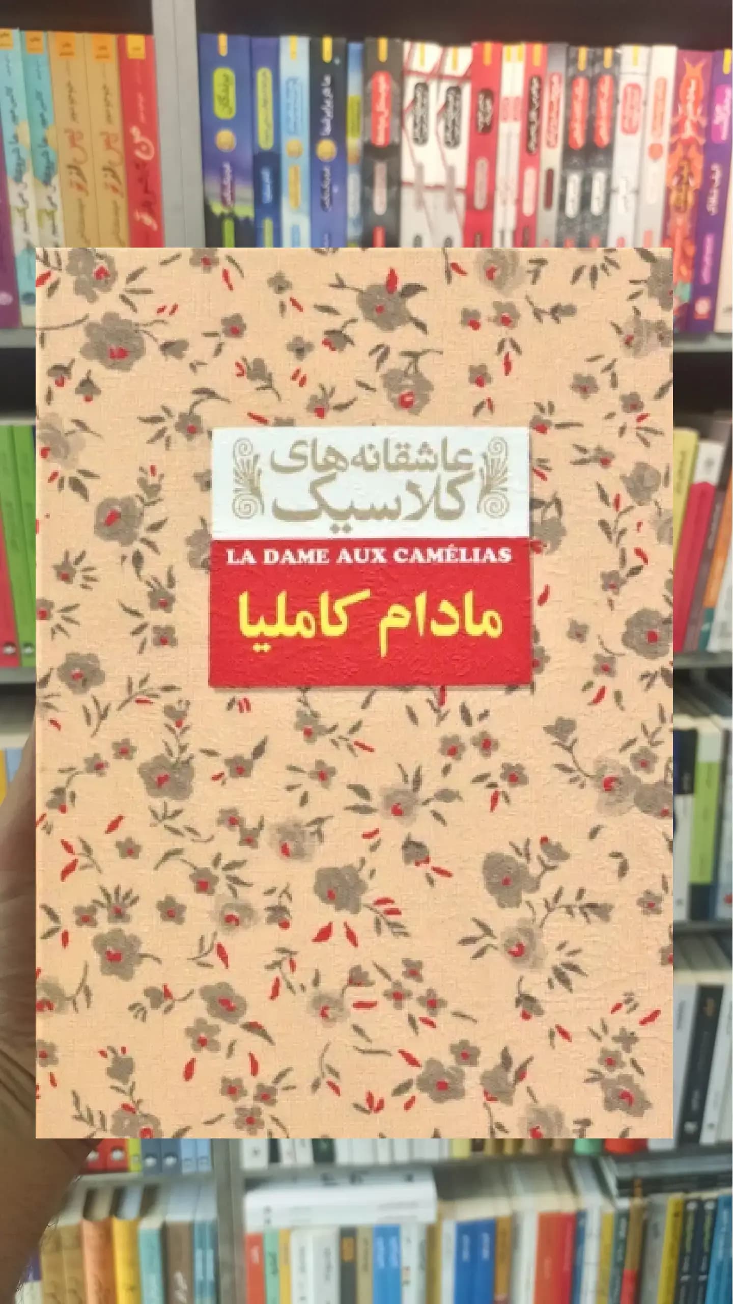 عاشقانه های کلاسیک : مادام کاملیا افق