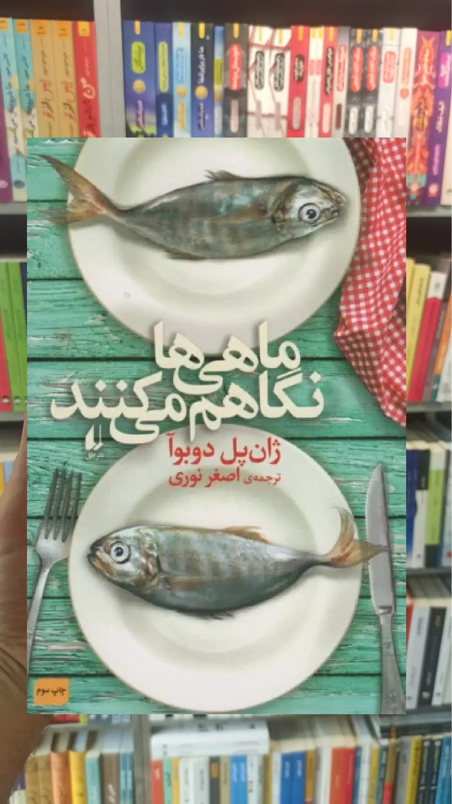 ماهی ها نگاهم می کنند افق