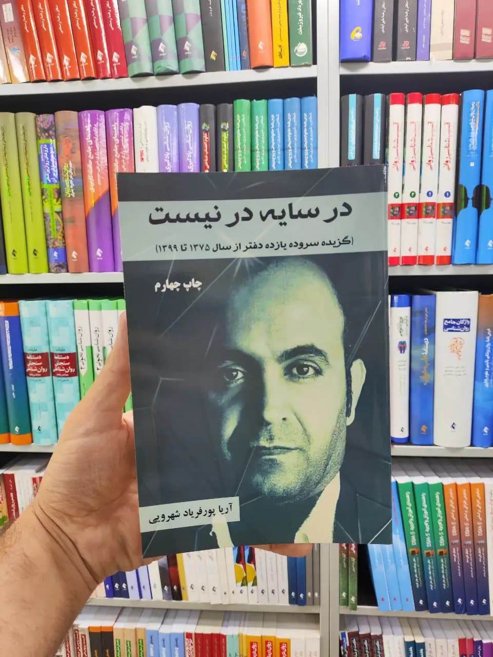 در سایه در نیست