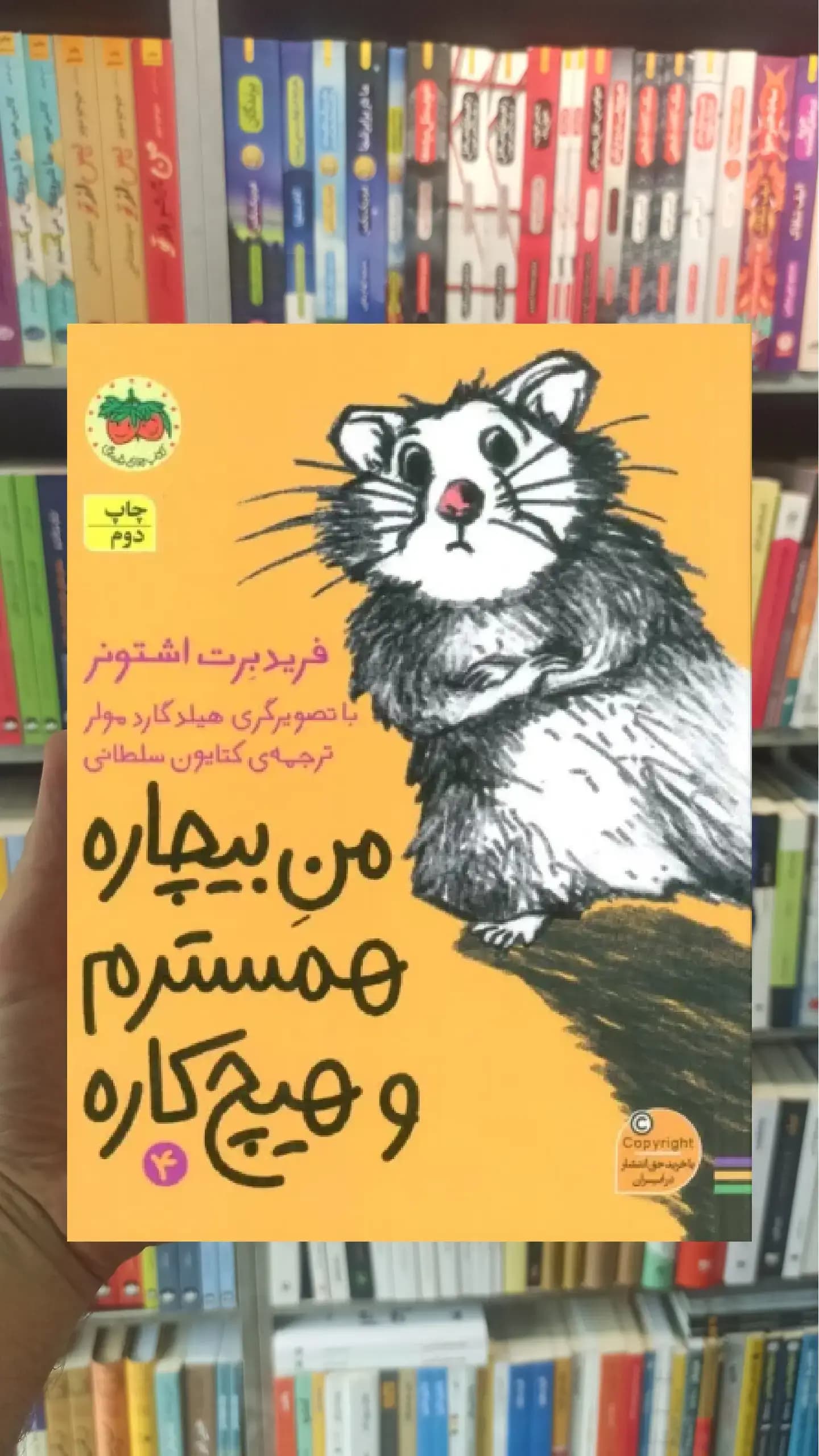 من بیچاره همسترم و هیچ کاره افق