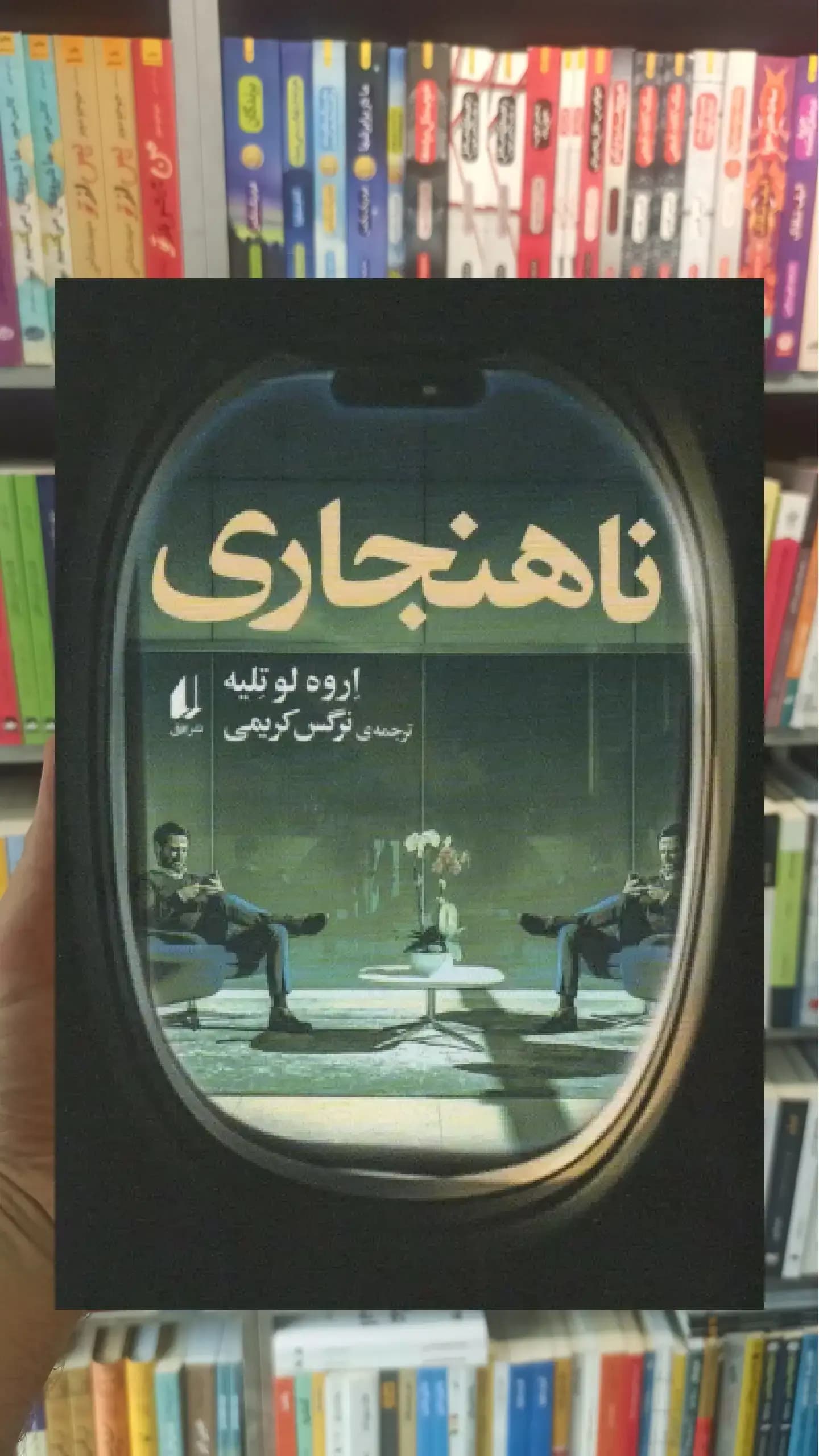 ناهنجاری افق
