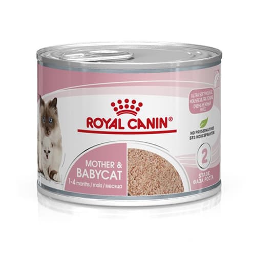 کنسرو مدل استارتر مادر و بچه گربه رویال کنین Royal canin وزن 195 گرم