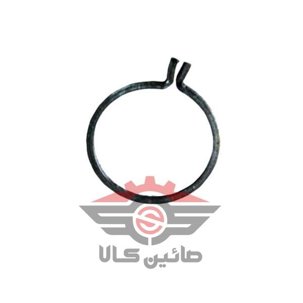خار پلوس نازک — تصویر ۲