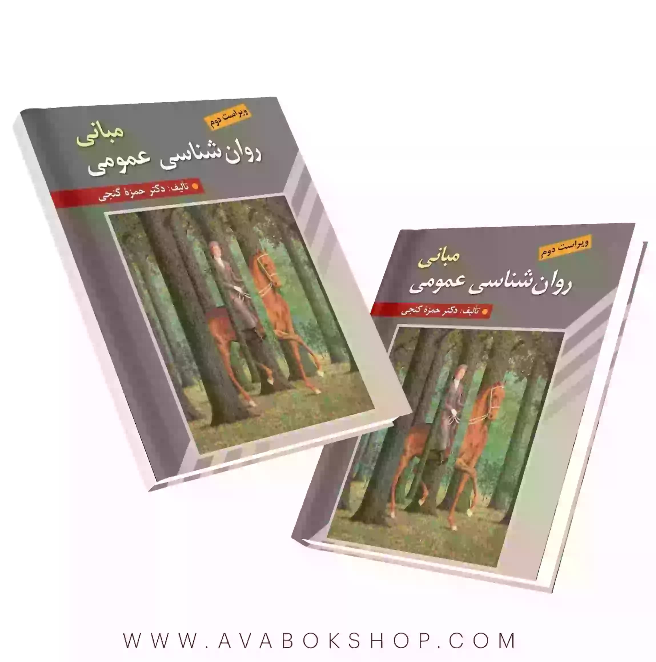 کتاب مبانی روان شناسی عمومی حمزه گنجی انتشارات روان
