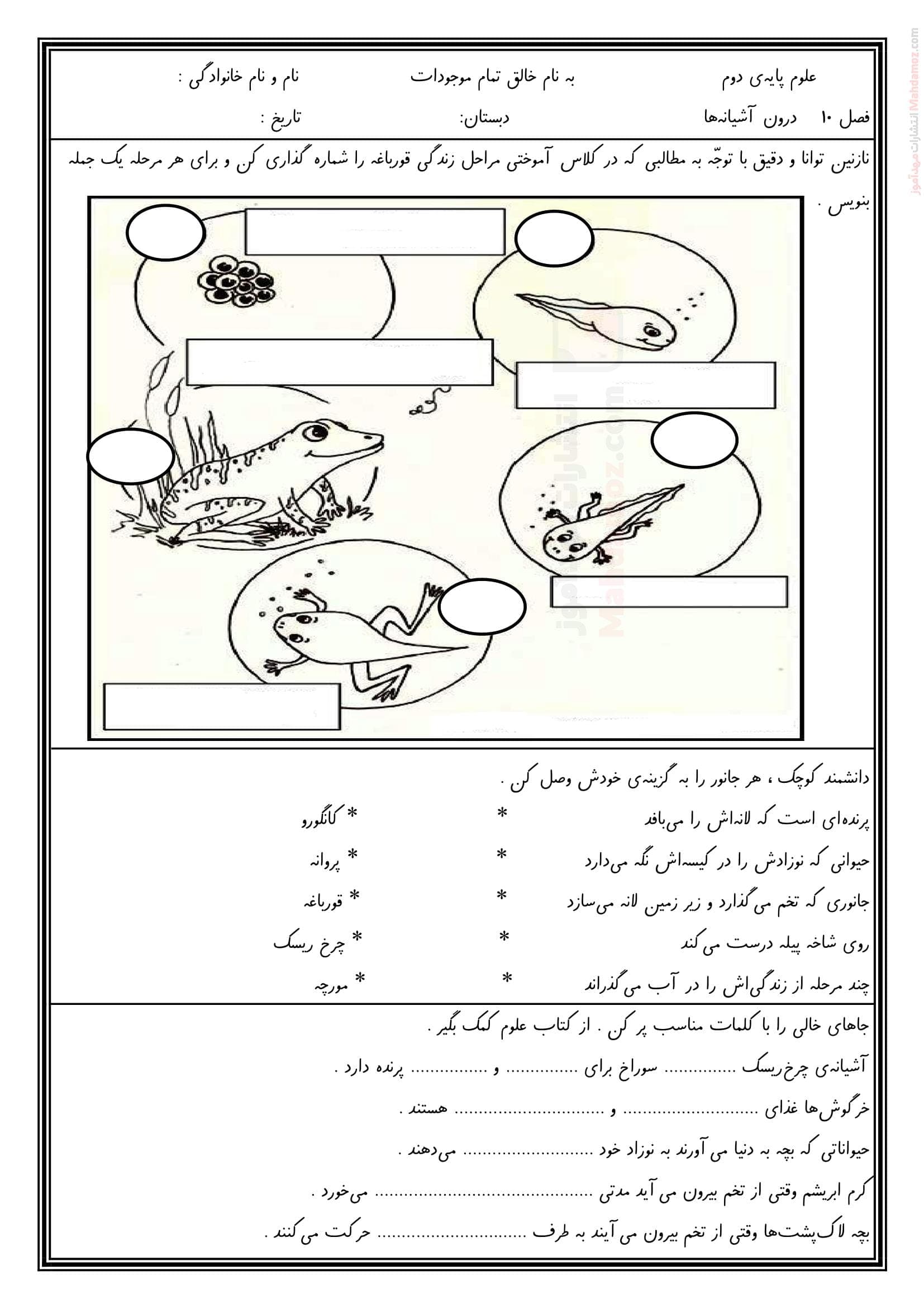 سوال امتحانی فصل 10 درون آشیانه ها علوم تجربی پایه دوم | با جواب