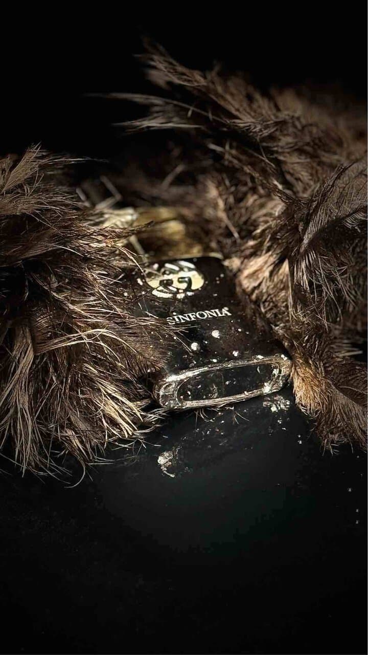ادکلن سینفونیا GUCCI GUILTY — تصویر ۲