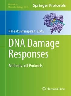 دانلود کتاب DNA Damage Responses
