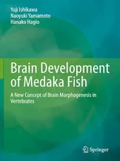 دانلود کتاب Brain Development of Medaka Fish