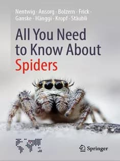 دانلود کتاب All You Need to Know About Spiders