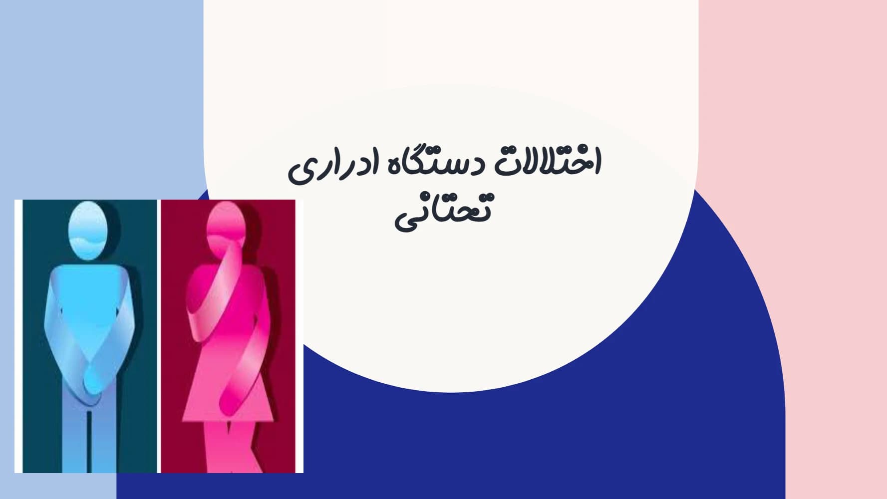 جزوه Lower Urinary Tract Disorders (اختلالات دستگاه ادراری تحتانی) PDF