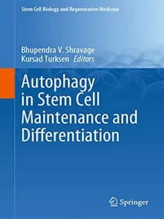دانلود کتاب Autophagy in Stem Cell Maintenance and Differentiation