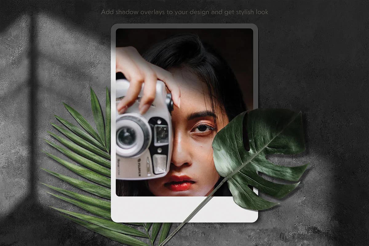 9 افکت سایه درخت و پنجره برای فتوشاپ — تصویر ۵