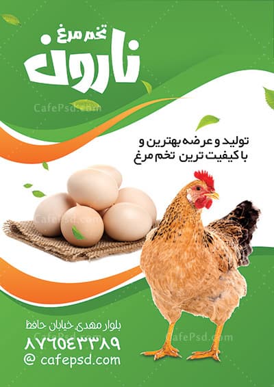 تراکت تخم مرغ فروشی — تصویر ۲