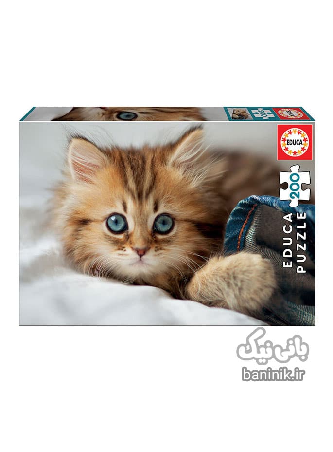 پازل 200 تکه ادوکا طرح Educa Kitten