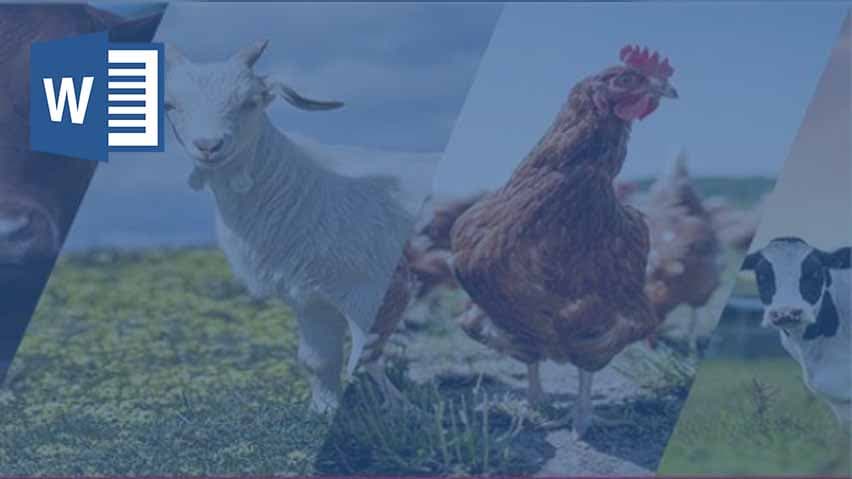 و دانلود تحقیق مشكلات دام و طيور