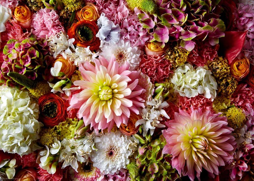 پازل ۱۰۰۰ تکه گل های کوکب