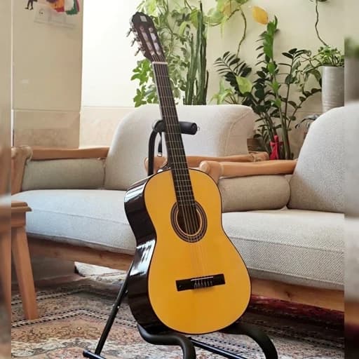گیتار کلاسیک دیاموند طرح C40 سایز 4/4 همراه کیف و پیک