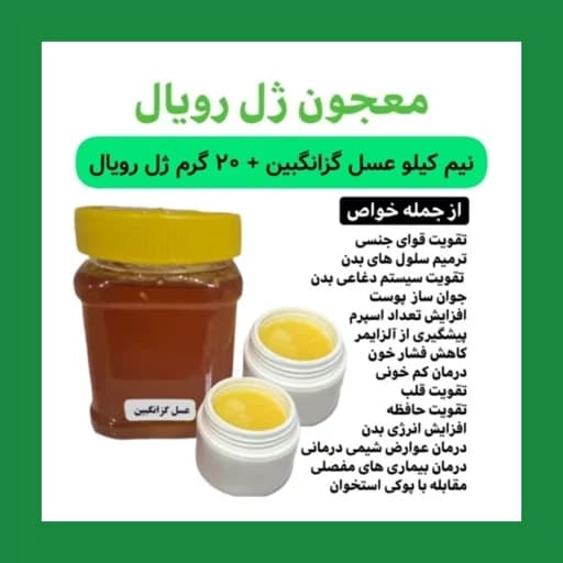 ترکیب ژل رویال با عسل طبیعی گزانگبین (20 گرم ژل رویال با نیم کیلو عسل)