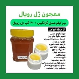 ترکیب ژل رویال با عسل طبیعی گزانگبین (20 گرم ژل رویال با نیم کیلو عسل) — تصویر ۲