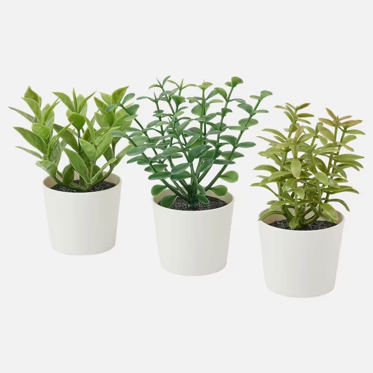 گیاه مصنوعی ایکیا مدل بوته ای IKEA-FEJKA