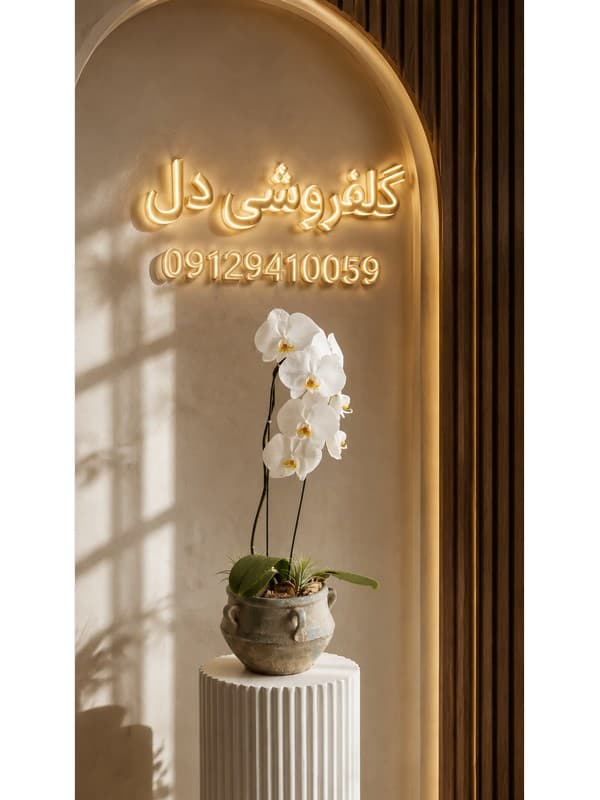اینترنتی باکس گل تسلیت در نیروی هوایی