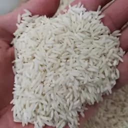 برنج طارم هاشمی اعلاء درجه یک 100 کیلویی تضمین کیفیت — تصویر ۲