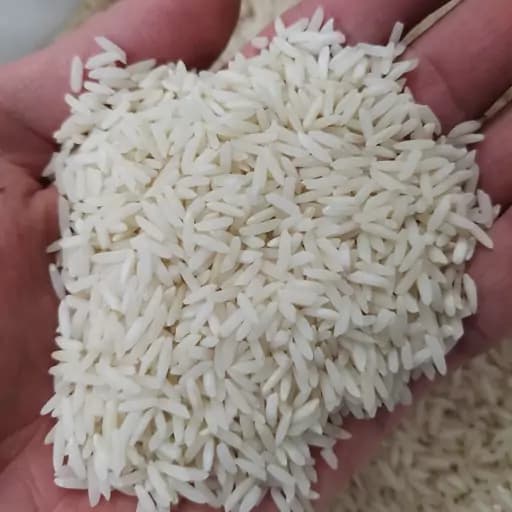 برنج طارم هاشمی اعلاء درجه یک 100 کیلویی تضمین کیفیت