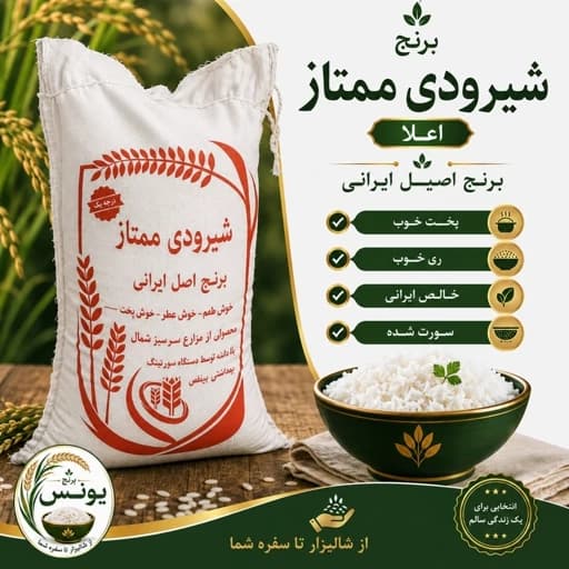 برنج شیرودی خالص ایرانی ممتاز (2.5 کیلویی) ارسال رایگان