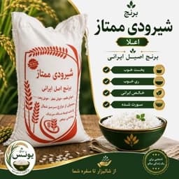 برنج شیرودی خالص ایرانی ممتاز (2.5 کیلویی) ارسال رایگان — تصویر ۲