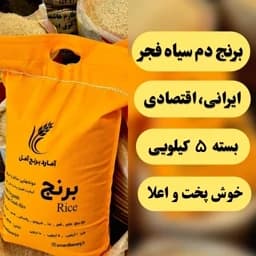 برنج فجر آمل (خوش پخت و اعلا) 5 کیلویی + تضمین کیفیت — تصویر ۲