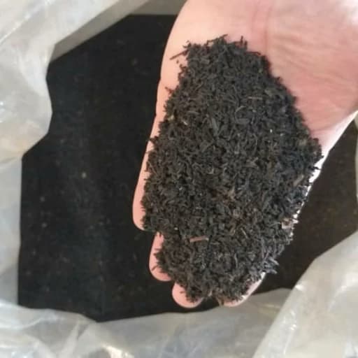 چای سیاه سرگل لاهیجان تازه ممتاز بهاره تازه ارسال رایگان