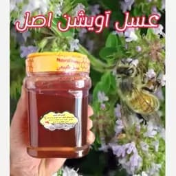 عسل تک گل طبیعی آویشن اصل فیروزکوه 1 کیلویی - کوهی(خرید مستقیم از زنبوردار )ارسال رایگان با خرید 2 میلیون از غرفه — تصویر ۲