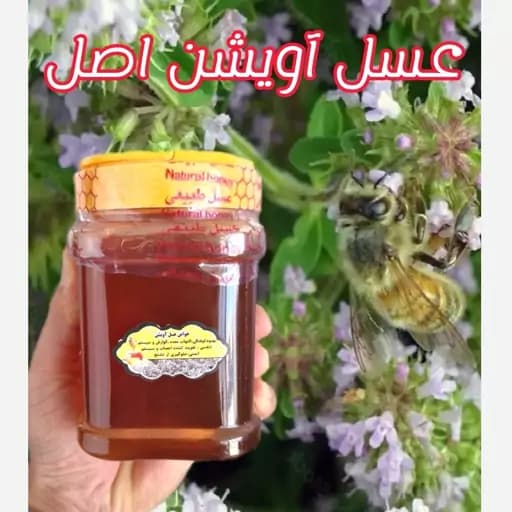 عسل تک گل طبیعی آویشن اصل فیروزکوه 1 کیلویی - کوهی(خرید مستقیم از زنبوردار )ارسال رایگان با خرید 2 میلیون از غرفه
