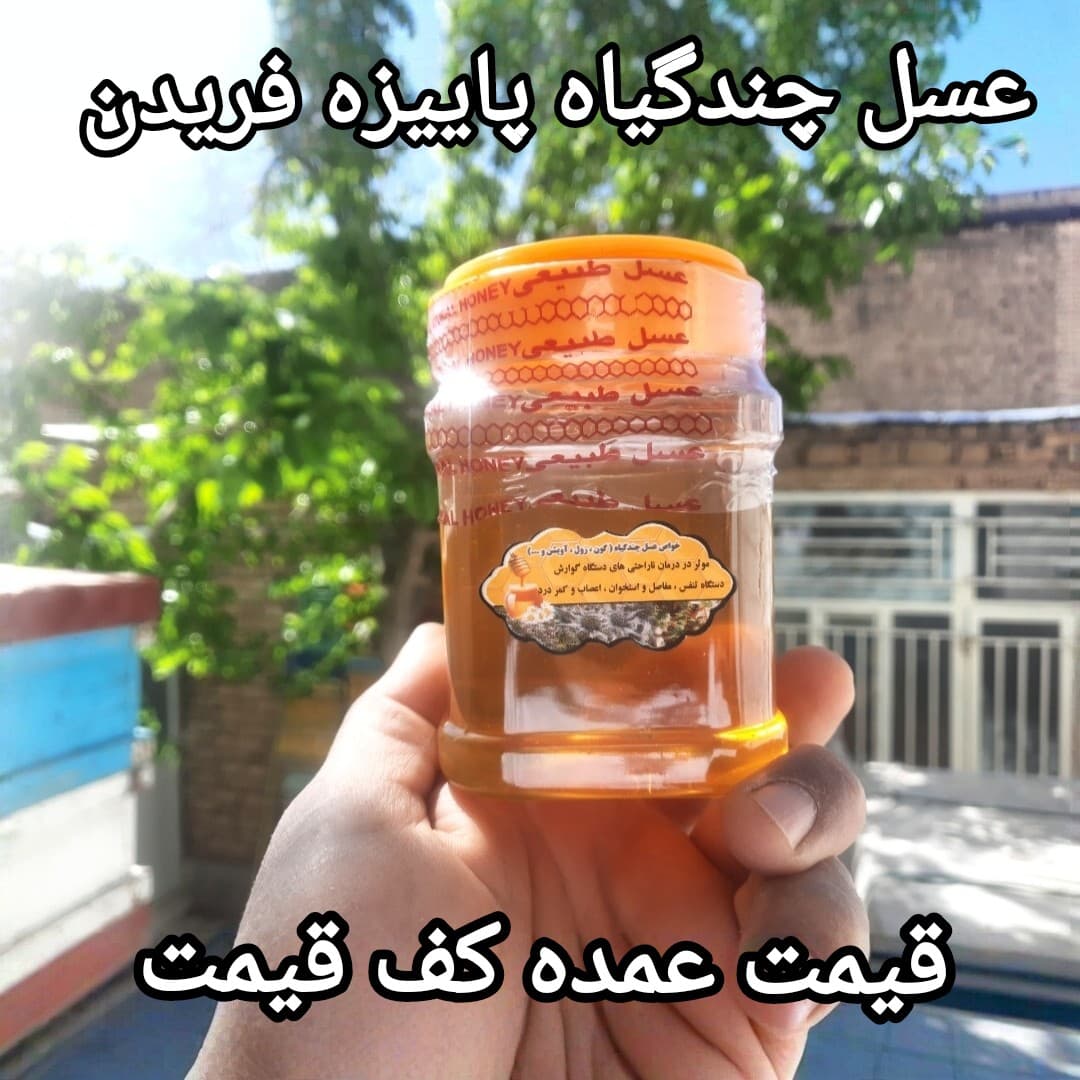 عسل چندگیاه پاییزه فریدن نیم کیلویی دشتی اصل(ارسال رایگان با خرید 2م از غرفه)