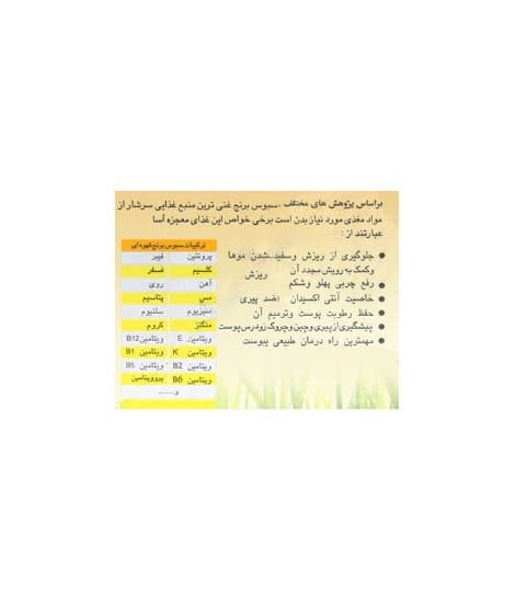 پودر سبوس برنج ناژوانیا ناژوان گیاه — تصویر ۳