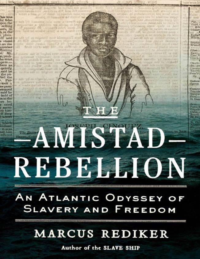 کتاب The Amistad Rebellion (شورش آمیستاد) نسخه انگلیسی PDF | مارکوس ردیکر