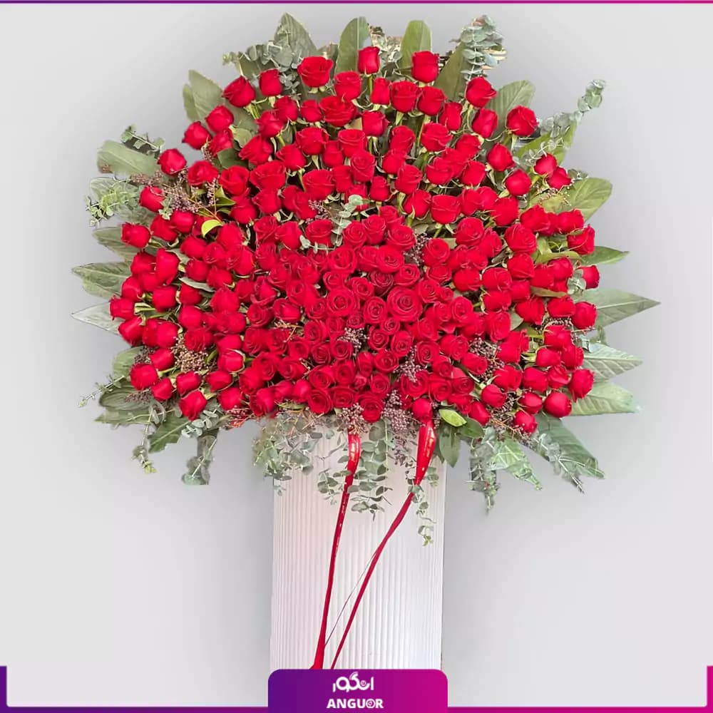 باکس گل رز خواستگاری سلطنتی