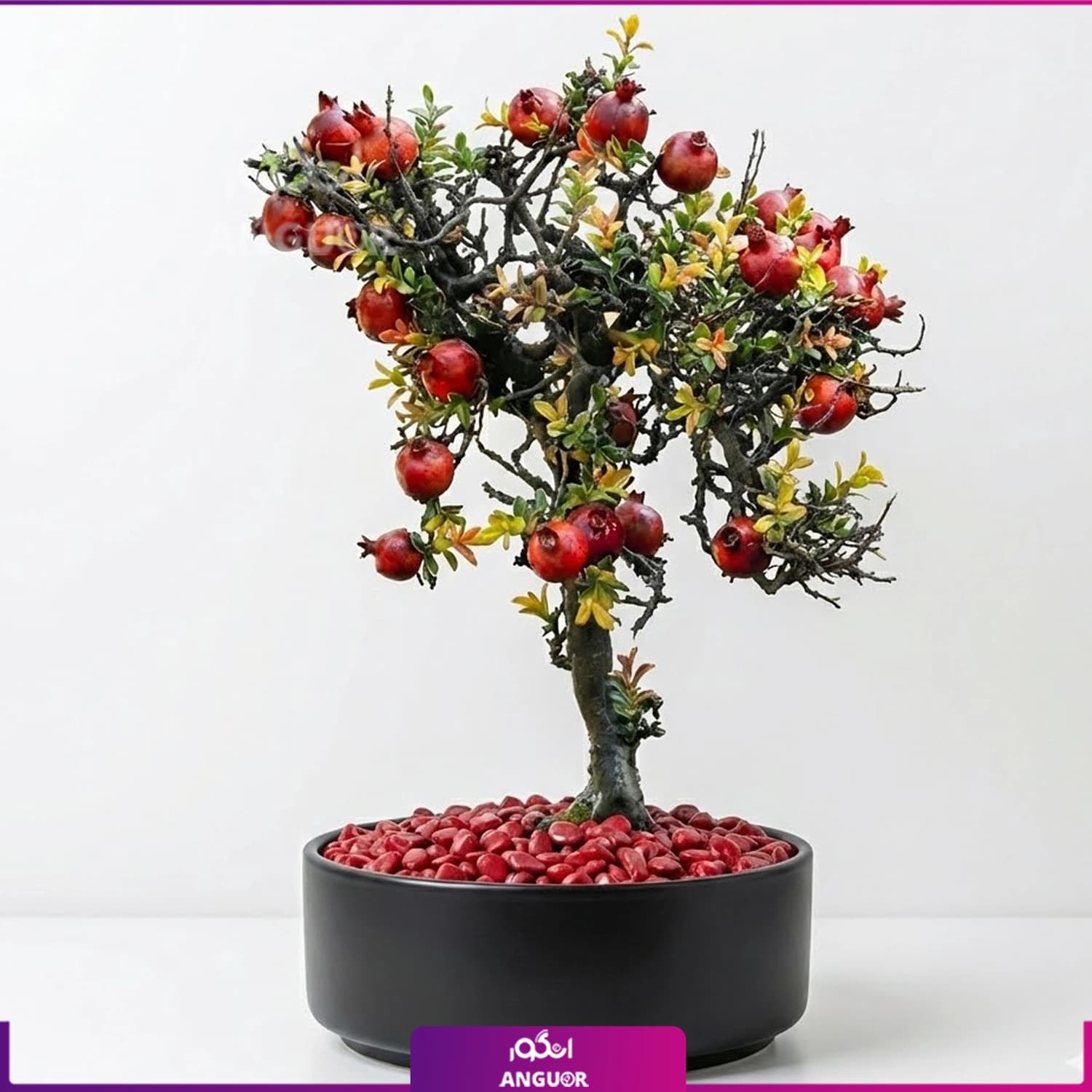 درختچه بونسای انار یلدایی طرح سبک