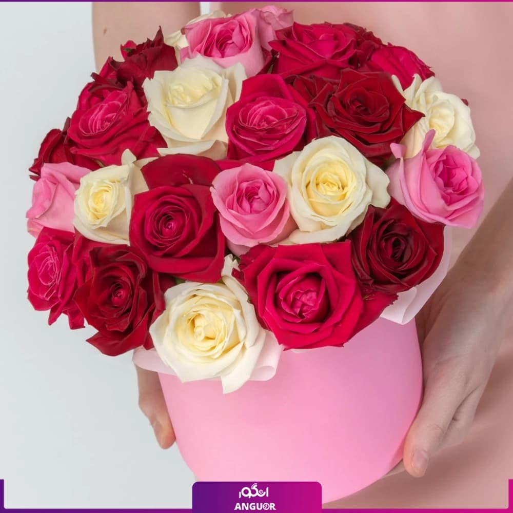 باکس گل رز رنگی 25 شاخه (قرمز، سفید، صورتی)