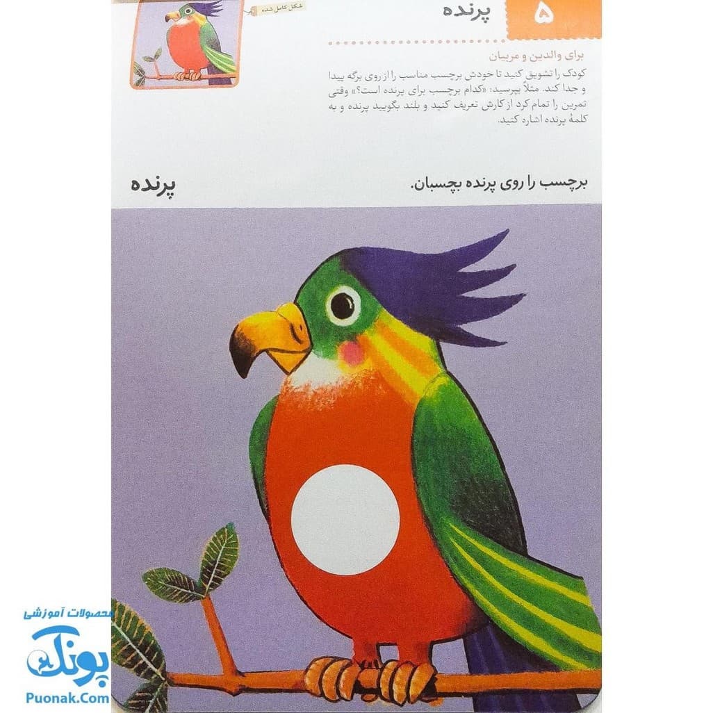 کتاب کار بیا بچسبانیم آشنایی با حیوانات (مجموعه کتاب های کار کومن) — تصویر ۷