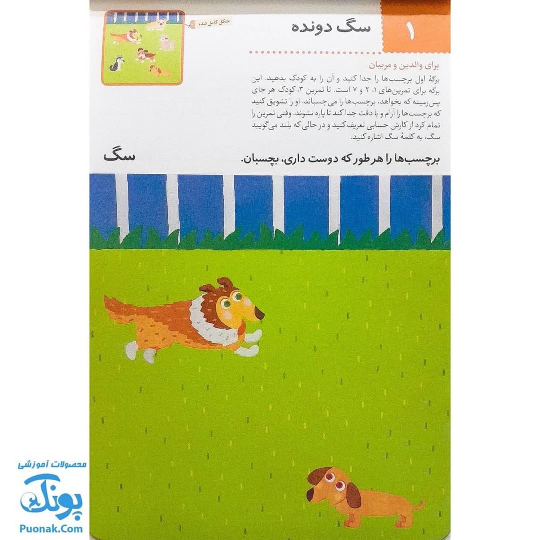 کتاب کار بیا بچسبانیم آشنایی با حیوانات (مجموعه کتاب های کار کومن) — تصویر ۵