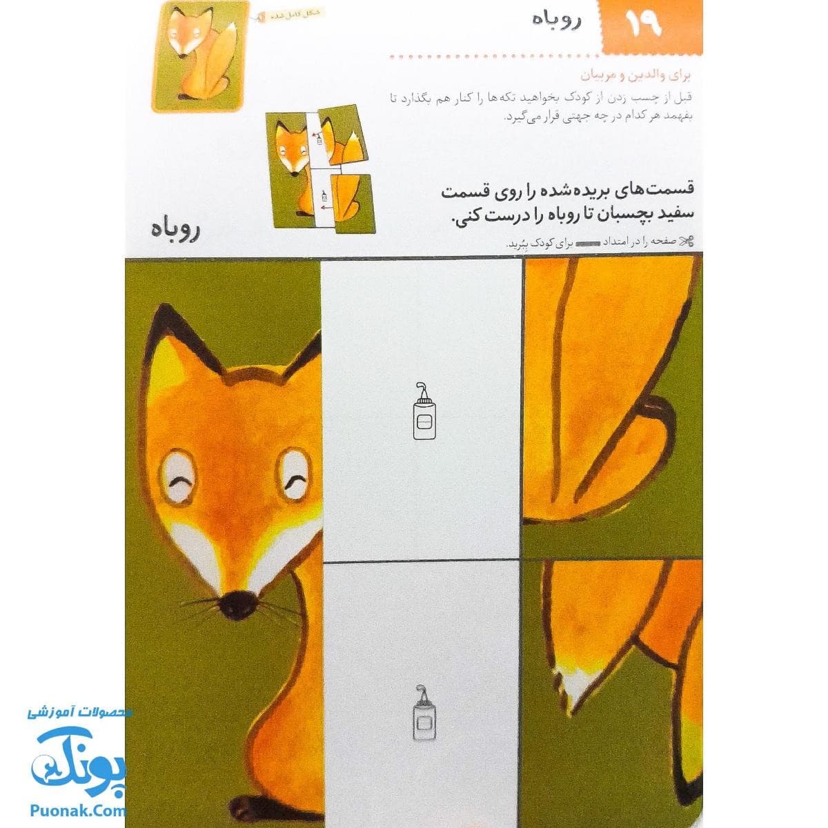 کتاب کار بیا بچسبانیم آشنایی با حیوانات (مجموعه کتاب های کار کومن) — تصویر ۸