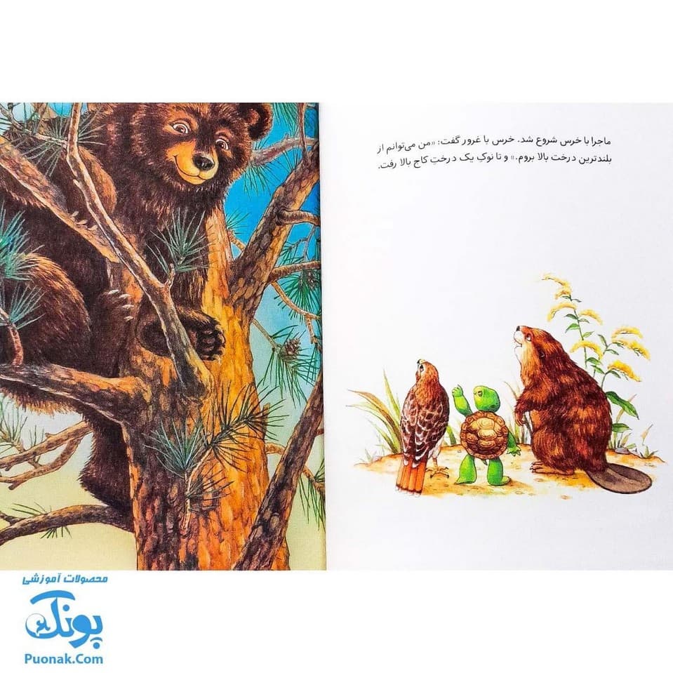 کتاب فرانکلین دروغ می‌گوید (مجموعه داستان های فرانکلین) — تصویر ۳