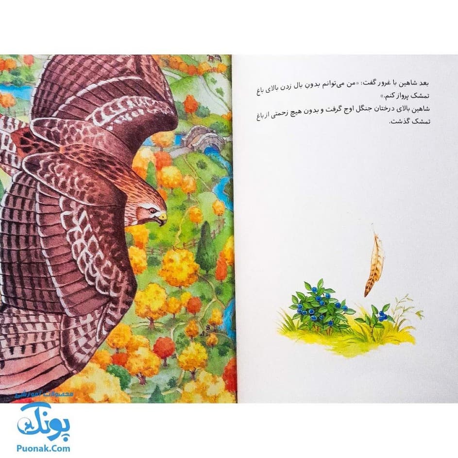 کتاب فرانکلین دروغ می‌گوید (مجموعه داستان های فرانکلین) — تصویر ۴