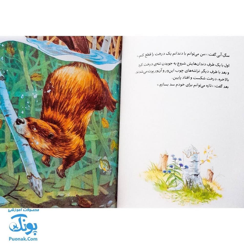 کتاب فرانکلین دروغ می‌گوید (مجموعه داستان های فرانکلین) — تصویر ۵