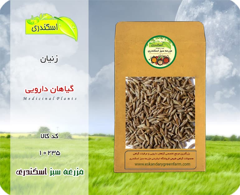 گیاه زنیان